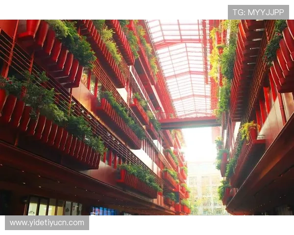 米兰国际登录开启新篇章，助力城市国际化发展迈上新台阶