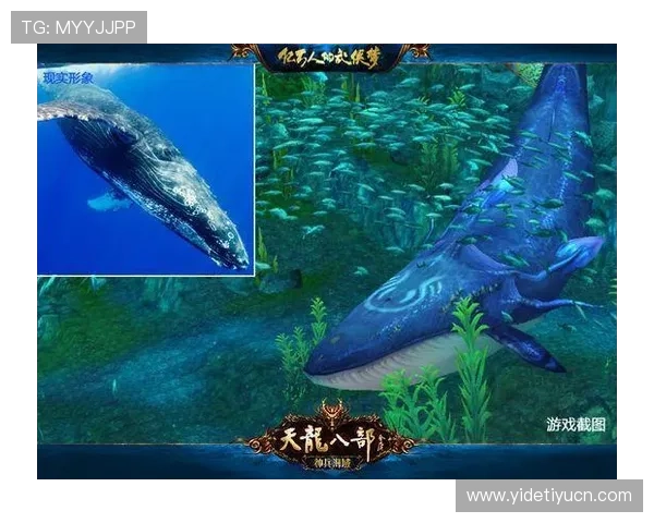 蓝鲸网址官方地址官方最新入口，确保玩家安全访问，畅享丰富游戏内容和活动